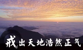 安家如何挽回林茂,安家如何成功挽回林茂→安家挽救林茂的秘诀