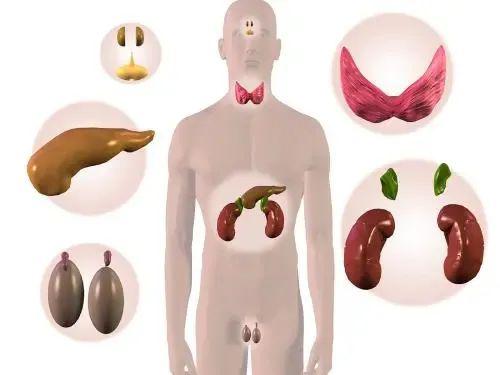 如何挽回身体关系,如何修复身体关系