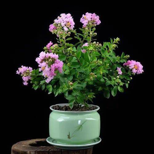 情感挽回工作合法吗,挽回爱情的方法是否合法？