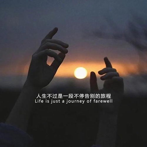 越是挽回越被讨厌,挽回越努力越招人厌)