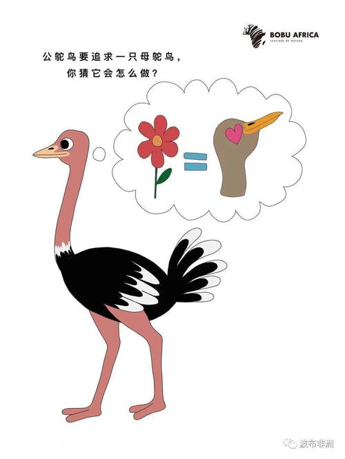 鸵鸟心态怎么挽回,挽回失落鸵鸟心态