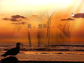 挽回爱情的故事文字,重拾爱情：一个充满希望的故事