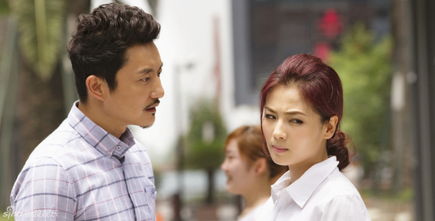 总裁挽回怀孕的妻子,公司高管努力挽回妻子怀孕幸福重启