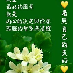 挽回要每天说早安,每日早安，怎样恢复感情