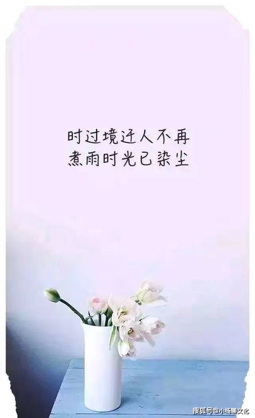 感情尽力挽回的句子,赢回爱情的必杀技