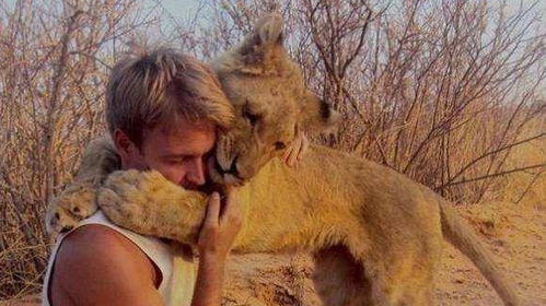 狮子女挽回狮子男,狮子女成功挽回狮子男