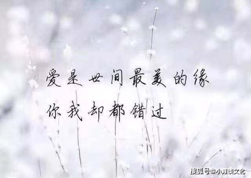 心碎不能挽回的句子,无法挽回的心碎