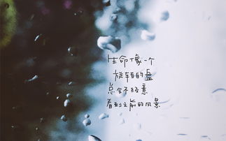 婚姻挽回感情的诗句,爱情救赎：挽回婚姻的艺术