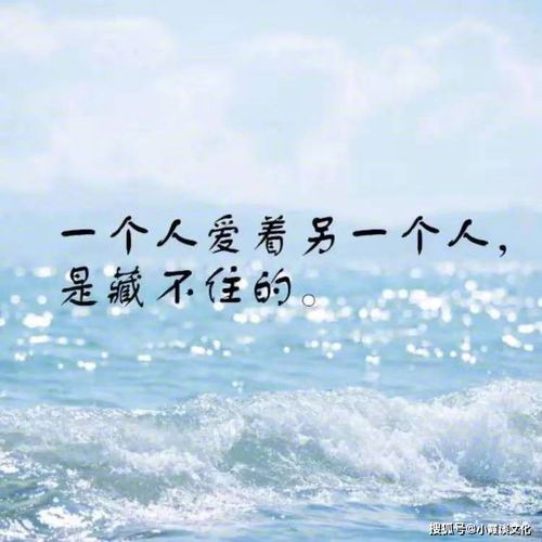 挽回前任的感动话语,挽回前任，感人告白！