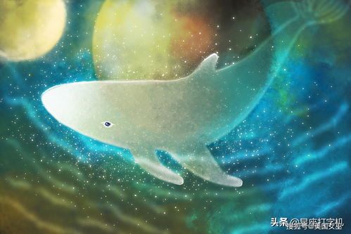 双鱼为什么不敢挽回,为何双鱼不敢去挽回？