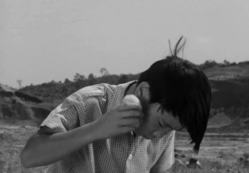 挽回小黄毛的方法,如何挽回失落小黄毛