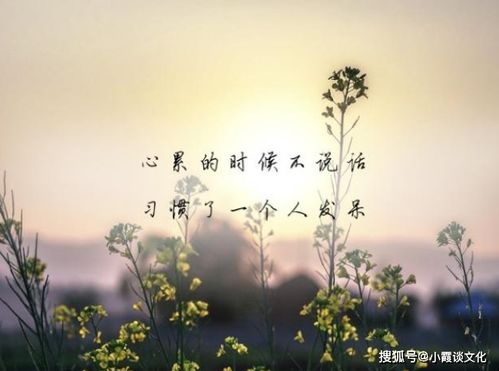 有的东西挽回不了,挽回不了的东西