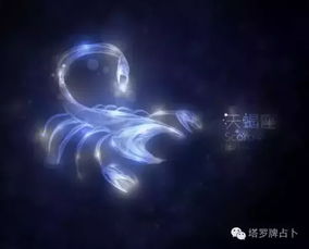 处女座挽回友谊,如何挽回处女座的友谊