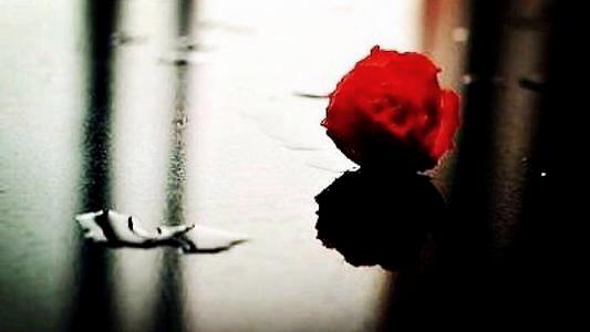 回爱生恨挽回,怎样挽回爱情？——重拾爱的机会