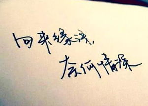 诗经中挽回爱情句子,诗经爱情挽回经典语句改编