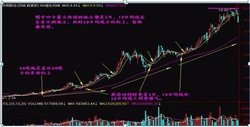 股市跌了怎么挽回盈利,巧妙应对股市下跌，成功赚取利润