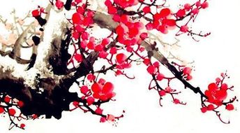 梅花易数测挽回,用梅花易数预测感情复苏可能性