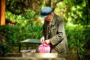 已经出家之人怎么挽回,出家人如何挽回？