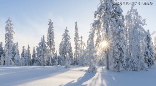 挽回在冬天之前,如何在冬季到来前挽回失去的爱情