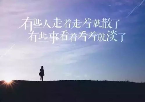 真情还能挽回的诗句,重拾爱火，挽回真情