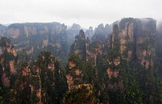 张家界挽回爱情咨询，如何在张家界挽回失去的爱情？