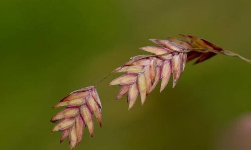 属蛇如何挽回感情,属蛇恢复感情的技巧
