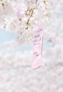 已经纠缠后怎么挽回,如何成功脱离纠缠，实现感情重生？