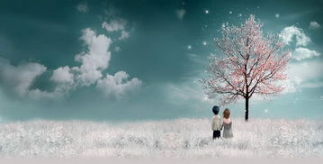 射手座厌烦挽回,射手座不想再挽回