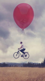 我主良缘挽回,我主良缘：成功挽回爱情