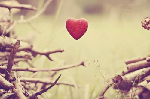 破镜重圆挽回的说说,重拾爱的缘