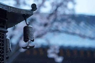 天美挽回老玩家,天美成功挽回老玩家