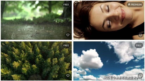 挽回前任素材视频高清,挽回前任高清视频教程