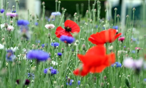 挽回时花了很多钱,挽回失败后的经济损失
