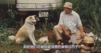 忠犬型男友挽回，真情犬狗：为爱而战的男友