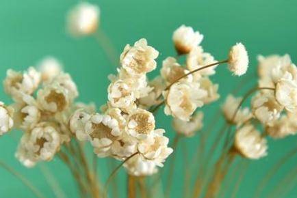 水瓶分手会挽回吗,水瓶座分手后能复合吗？)