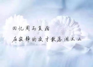 挽回金牛打感情牌,用情感化语言挽回金牛的心