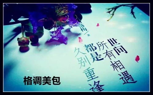 舟山挽回分手的恋人,舟山旧爱重逢，情感翻篇重新出发