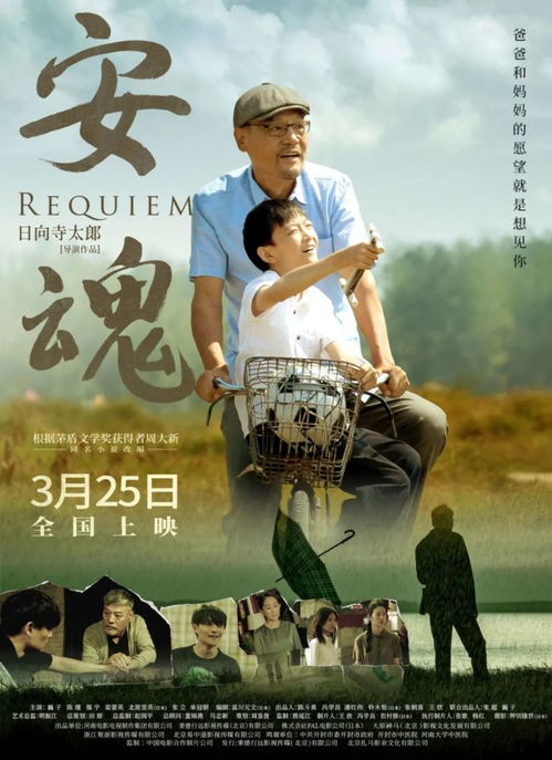 高价值挽回爱情电影,如何用电影挽回失去的爱情