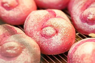 青岛橘子创想挽回,青岛橘子创想奋力挽回——新标题不超过40字