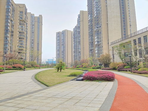 长沙有效挽回感情手段,长沙有效挽回感情的方法