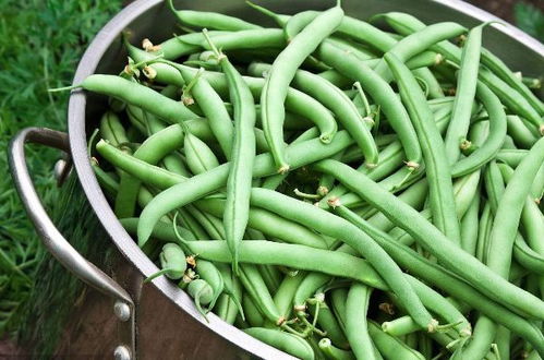 豆角没炒熟怎么挽回,豆角炒糊了怎么救？