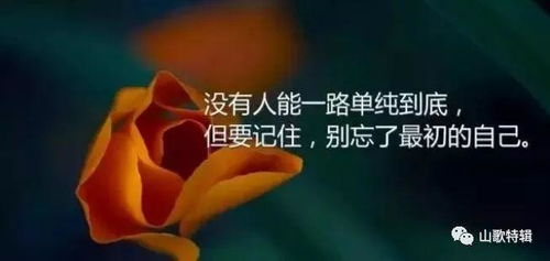 怎么用真诚挽回女友,重拾爱火，用真心挽回她！