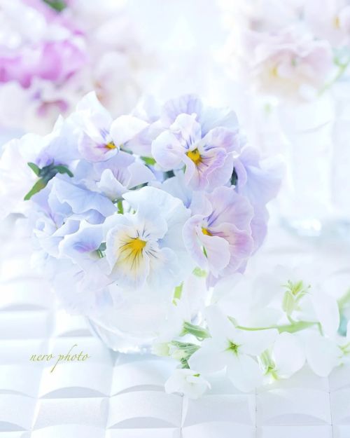 次第花开情感挽回机构，花开花落情感挽回，次第重生新生活。