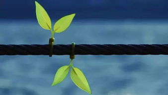 挽回对方想听什么话,「如何挽回对方的心」-「挽回感情的贴心话」