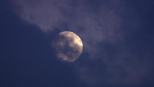 怎样挽回月亮双子男,“月亮双子男”如何挽回？