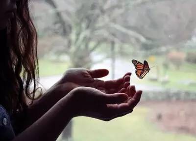 这么才可以挽回感情,重修旧好：挽回失去的爱情