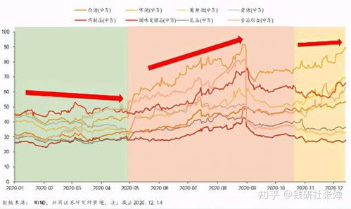 挽回损失巡视整改,全面整改实现重振声威