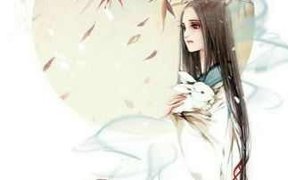 古风女主重生挽回,重生女主挽回情缘