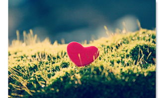 挽回男友的真实故事,挽回男友的真实经历