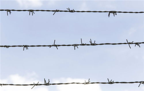 背叛婚姻的挽回方法,挽回背叛婚姻的有效方法